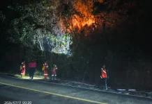 Waspada Musim Kemarau. Sejumlah Wilayah di Sulut Mulai Terjadi Karhutla