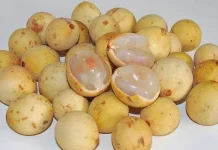 Manfaat Biji Duku Bagi Kesehatan
