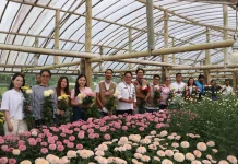 PLN UID Suluttenggo Resmikan Program Electrifying Agriculture di Tomohon