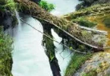 Belajar dari Keajaiban Alam, Dorong Kreativitas dan Kepedulian Lingkungan