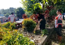 Kerja Bakti Sambut HUT RI, Tombariri Percantik Kantor Camat