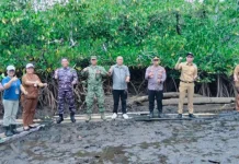 Bupati Sangihe Pimpin Penanaman Mangrove di Talengen