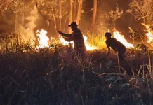 Babinsa Koramil Amurang Sigap Padamkan Kebakaran Lahan Lima Hektare