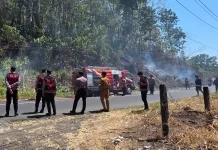 Kebakaran Lahan di Malalayang Dua Berhasil Dipadamkan