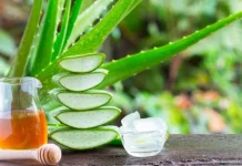 Manfaat Rebusan Lidah Buaya untuk Kesehatan