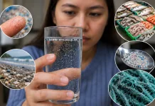 Mikroplastik, Ancaman Tak Terlihat yang Masuk ke Tubuh Manusia