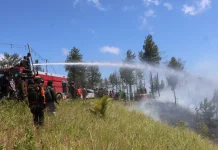 Pangdam Merdeka Kerahkan Prajurit Padamkan Api di Hutan Lindung Soputan