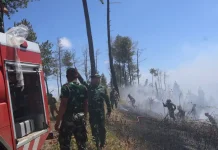 Pangdam Merdeka Imbau Masyarakat Jangan Membakar Hutan