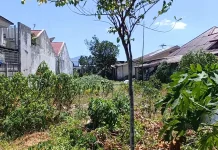 BMKG: Puncak Kemarau 2026 Capai Agustus-September, Sulut Diminta Waspada Karhutla