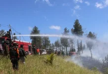 Tim Gabungan dan Kodim 1302 Minahasa Terus Padamkan Karhutla di Gunung Soputan
