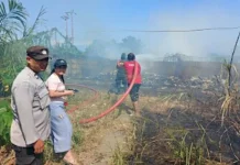Diduga akibat Bakar Sampah, Lahan Samping Tol Bitung Terbakar