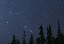 Puncak Hujan Meteor Perseid 12 Agustus 2026, Ini Cara Nonton Bareng NASA