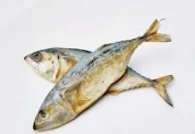 Amankah Mengonsumsi Ikan Asin?