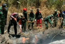 Sinergi TNI-Polri Berhasil Padamkan Karhutla di Lereng Gunung Soputan