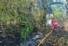Gerak Cepat Polsek Mapanget Tangani Kebakaran Alang-alang di Kelurahan Buha