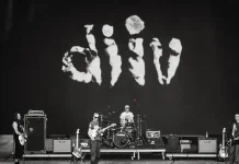 DIIV Membuka Era Baru lewat ZIRP!
