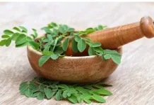 Manfaat Daun Kelor untuk Kesehatan