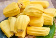 Waspada Konsumsi Nangka Berlebihan Picu Gangguan Kesehatan