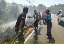 Babinsa Bantu Padamkan Kebakaran Lahan Perkebunan di Minahasa Selatan