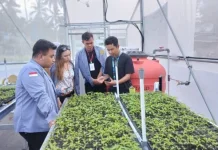 Bank Indonesia Percepat Transformasi Digital UMKM Sulawesi Utara