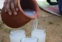 Saguer Minuman Tradisional bila Dikonsumsi Bijak Baik untuk Kesehatan