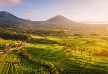 Desa Jatiluwih Bali, Lebih dari Sekadar Desa Wisata