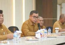 Bupati Lasena Pimpin Konsolidasi Audit Kinerja Pendahuluan Atas EMA oleh BPK