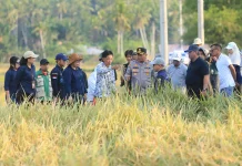 Kabupaten Boltara Percontohan Tabela Sekaligus Pelopor Program PM-AAS di Sulut