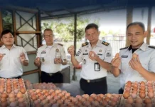 Lapas Amurang Dorong Produktivitas Melalui Panen Perdana Telur Ayam