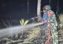 Babinsa dan Damkar Padamkan Kebakaran Lahan di Amurang Barat