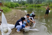 Perikanan Berkelanjutan, BPBAT Tatelu Gelar Restocking Ikan di Kabupaten Bolmong