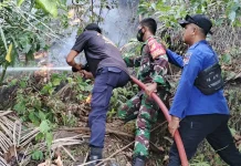Babinsa dan Damkar Berjibaku Padamkan Kebakaran di Rumoong Bawah