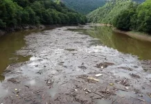 Pencemaran Sungai Picu Kerusakan Ekosistem
