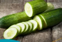 Manfaat Mentimun Bagi Kesehatan Tubuh