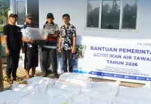 Sasar Pokdakan Bolmong Utara dan Minahasa, BPBAT Tatelu Salurkan Benih Ikan Nila