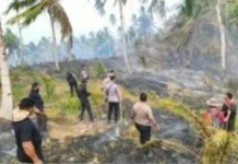 Karhutla di Damau Meluas ke Ighik, 100 Hektare Lahan Terbakar