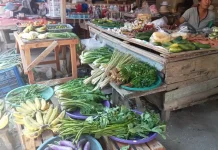Kemarau Panjang Picu Kenaikan Harga Hortikultura di Pasar Kawangkoan