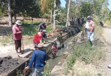 Saluran Rano Weleng Tertutup Material Longsor, Warga Butuh Bantuan
