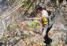20 Hektare Lahan Perkebunan di Mome Bolmut Terbakar