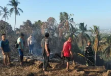 Sebanyak 6 Titik Kebakaran di Manado, Polisi Tingkatkan Monitoring