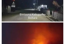 BREAKING NEWS ! Malam Ini Karhutla Membara di Bitung dan Boltara