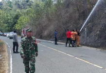 Polsek Lolayan, TNI, Damkar Tanggulangi Kebakaran Lahan di Perkebunan Tumuyu