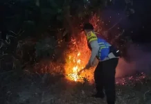 Kebakaran Treman hingga Kawiley, TNI-Polri Bergerak Cepat
