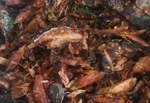 Resep Ikan Fufu Goreng Sous Yang Menggugah Selerah