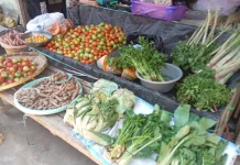 Kemarau, Harga Pangan di Langowan Naik