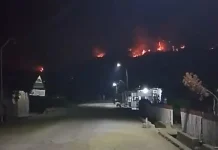 Waspada, 274 Hotspot Karhutla di Sulawesi Utara