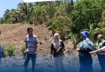 BRMP Sulut Verifikasi CPCL Perbenihan Kelapa di Bitung