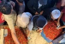 Sebanyak 2,5 Ton Cabai Probolinggo Kembali Didistribusikan di Sulut
