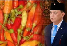 Pasokan Cabai Luar Daerah Tak Matikan Petani Lokal Sulawesi Utara