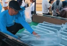 Semarak HUT Provinsi Sulut, BPBAT Tatelu Salurkan Ribuan Benih Ikan Mas dan Nila